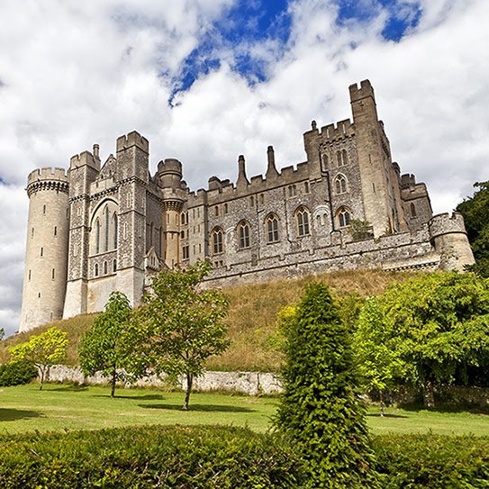 medieval bad breath 2025 543 1 - Viera Dental Arts | Dentist in Melbourne FL medieval bad breath 2025 543 1 - Viera Dental Arts | Dentist in Melbourne FL